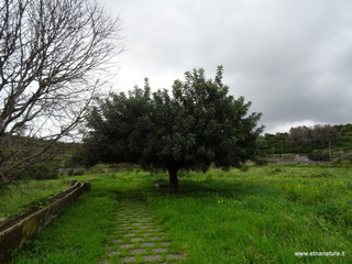 rme santa Venera13-03-2017 12-00-30
